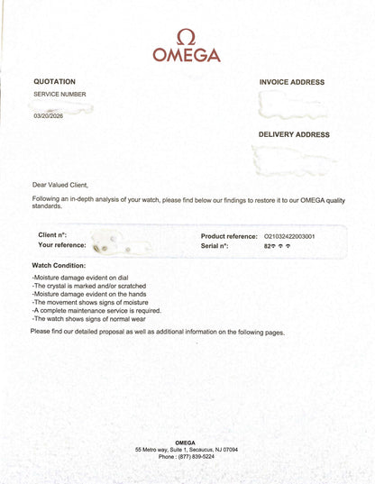 Omega Seamaster Diver 210.32.42.20.03.001 Steel Blue Co-Axial 42mm BOX + PAPERS